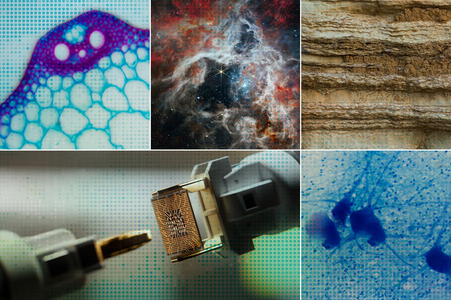 Accelerating scientific discovery with AI