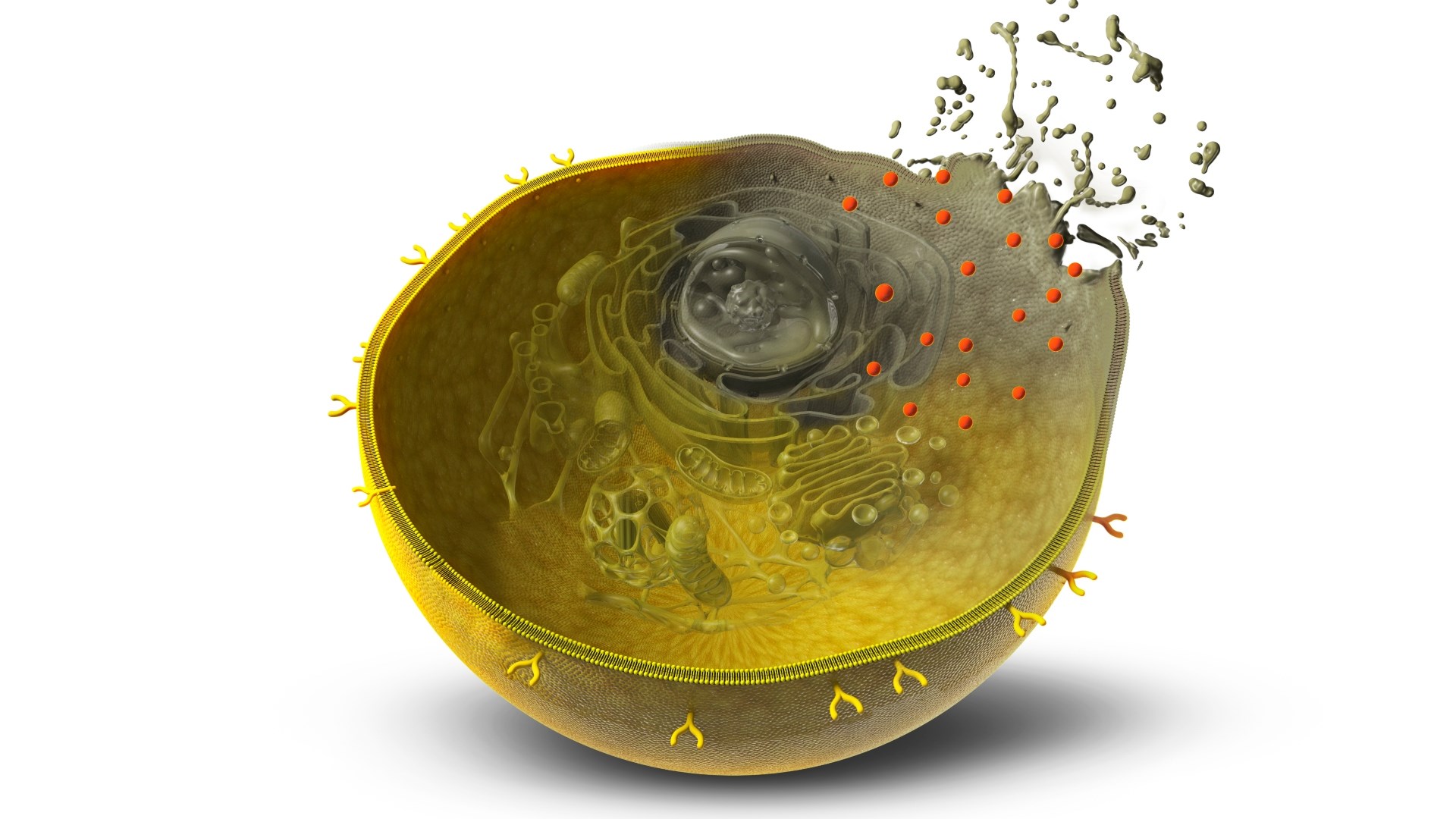 AI platform designs molecular missiles to attack cancer cells